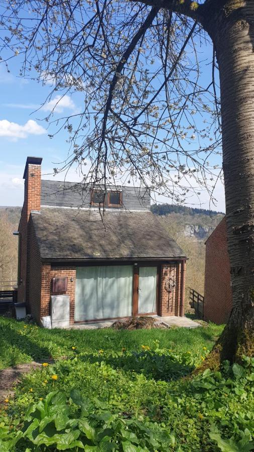 La Cabane D'Helie - Cottage En Pleine Foret - Domaine Du Bonsoy Hastiere-par-dela Exteriör bild